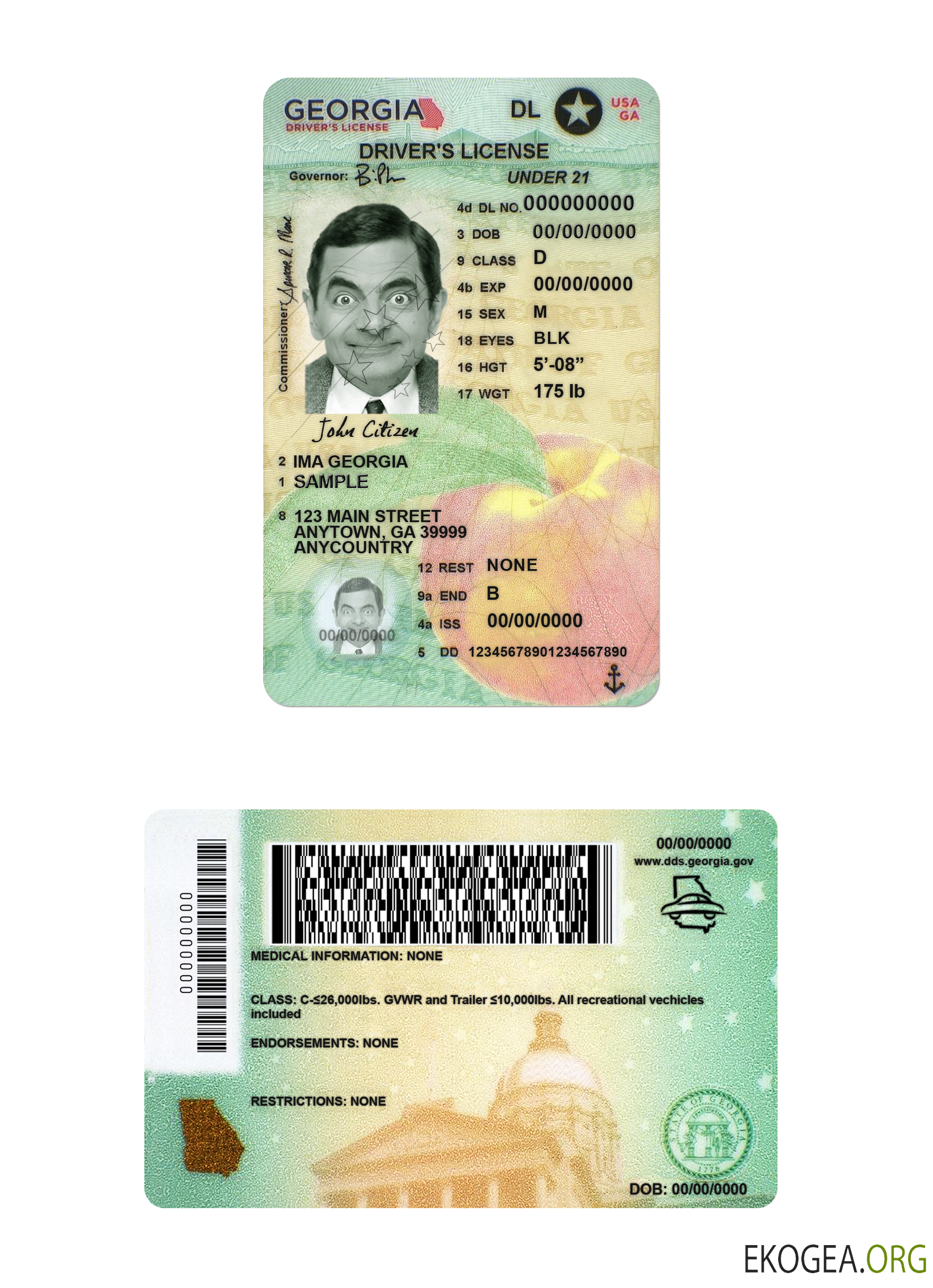 Usa Georgia driving license under 21 template
